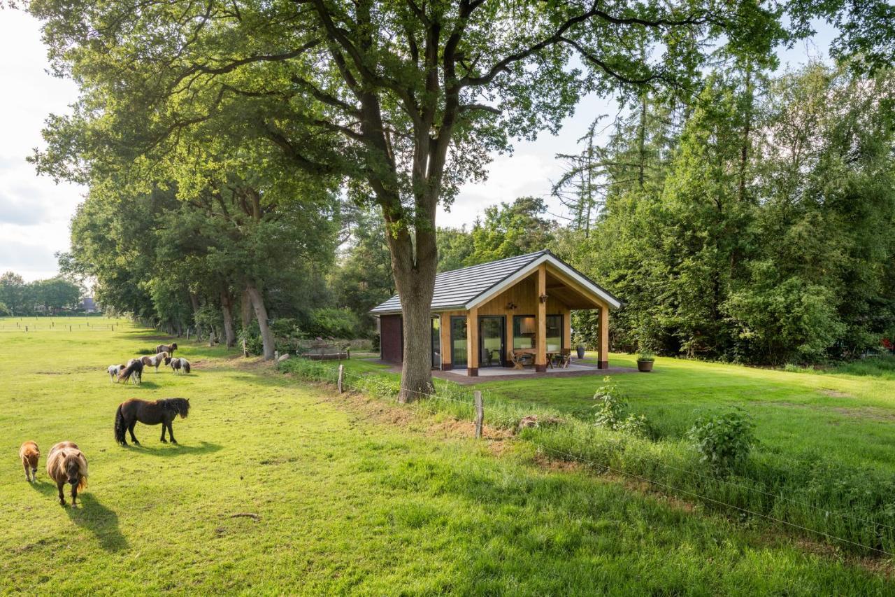 Bungalowpark Bij De Bronnen Nutter Kültér fotó